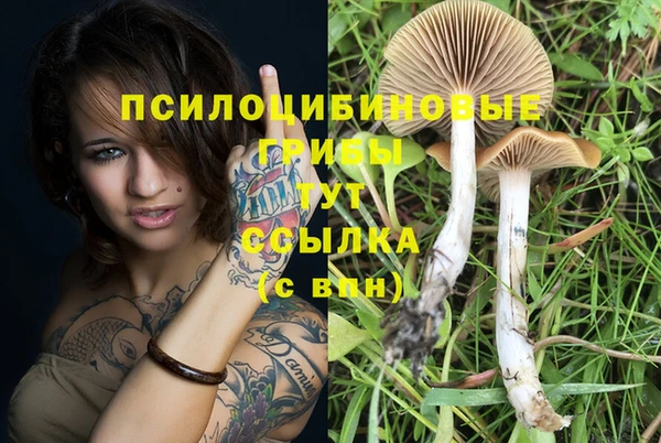 стаф Богородицк