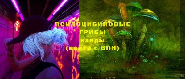 стаф Белоозёрский