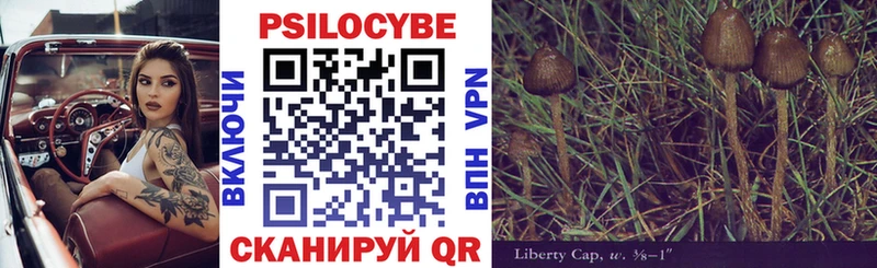 Галлюциногенные грибы мицелий  Верхоянск 